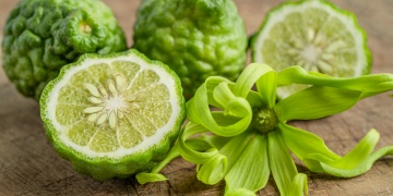 Bergamot - skrytý poklad středomoří