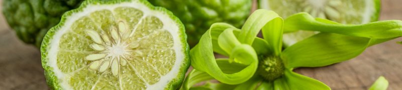 Bergamot4