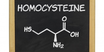 Homocystein – toxická látka, kterou tělo potřebuje držet na uzdě