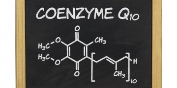 Koenzym Q10 – všudypřítomný a nepostradatelný enzym