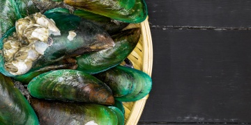Slávka zelenoústá - dar od moře pro zdravé klouby