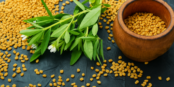 Pískavice řecké seno - starověká bylina síly a rovnováhy